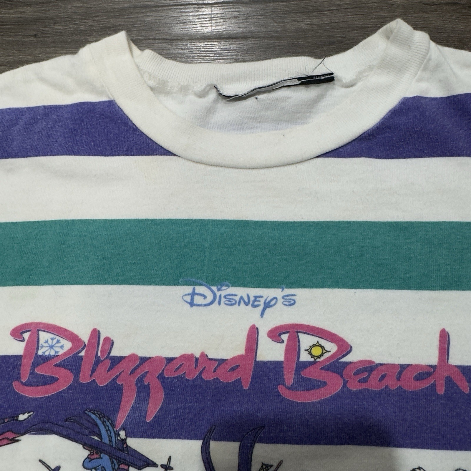 Vintage 90s Disney Blizzard Beach T Shirt Striped Graphic Size XS Water Park AOP