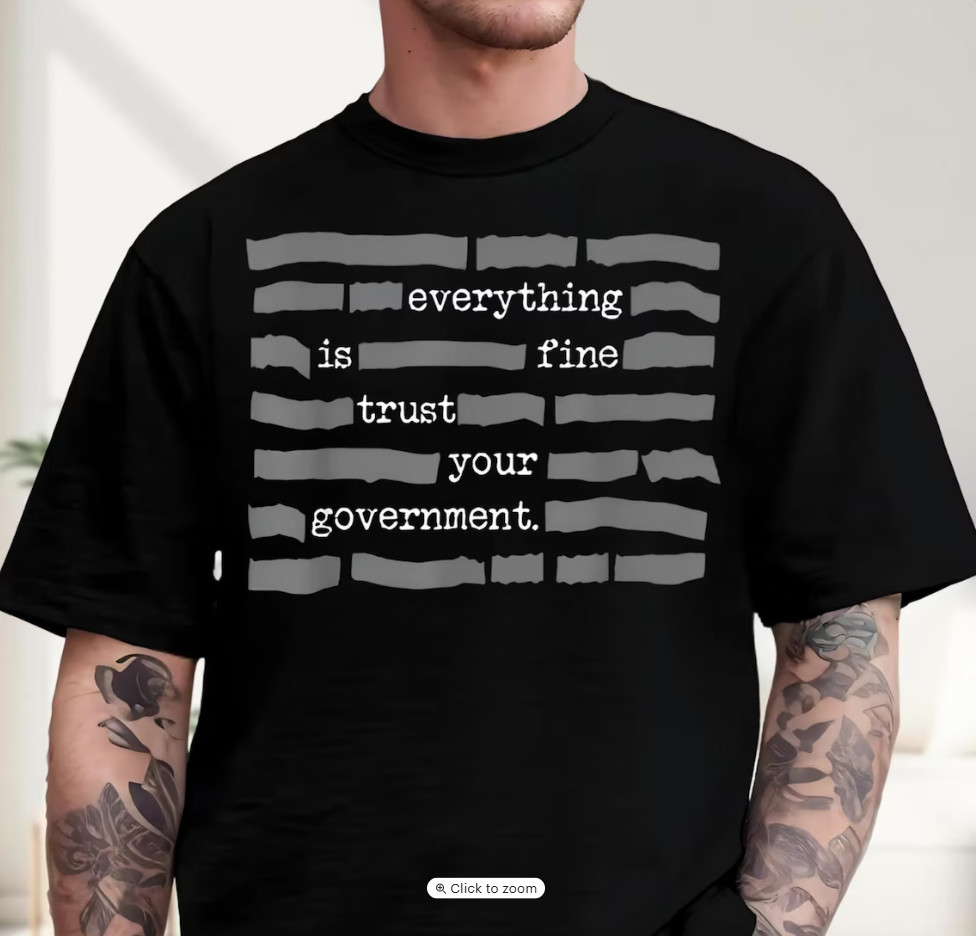 Everything Is Fine Trust Your Government Shirt, Funny Sarcastic T-shirt, Deep St