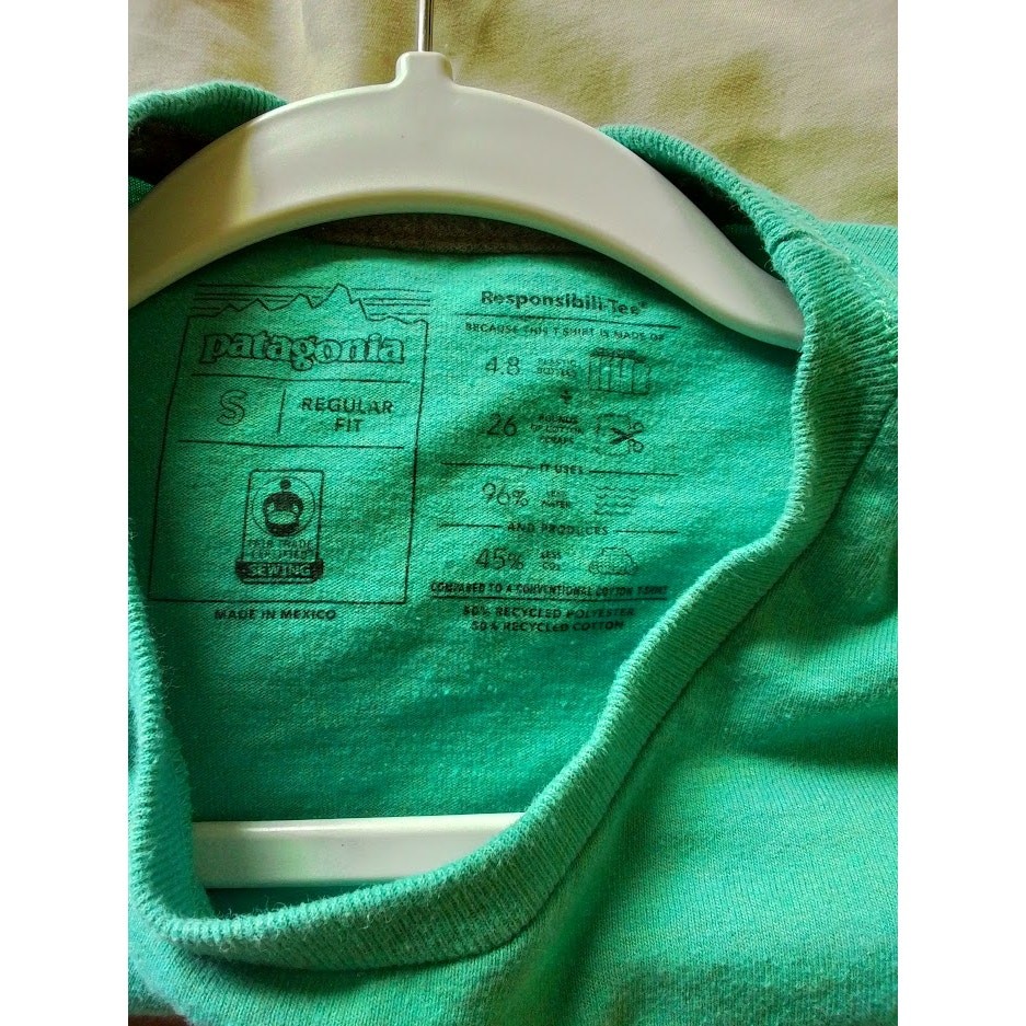 Patagonia Responsibili-Tee Live Simply Guitar Graphic Tee S Green