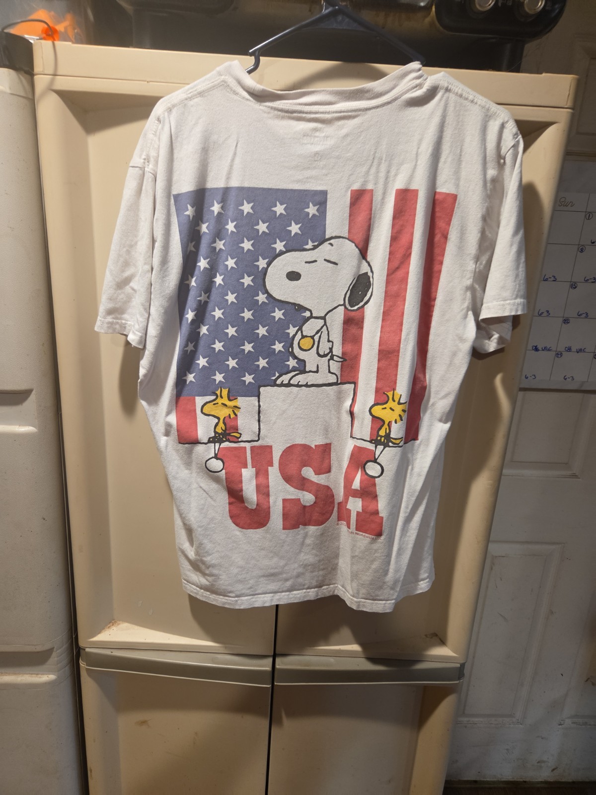 Hollister Soft Beige Boxy Snoopy Woodstock Peanuts USA Olympics Tee Mens Sz M