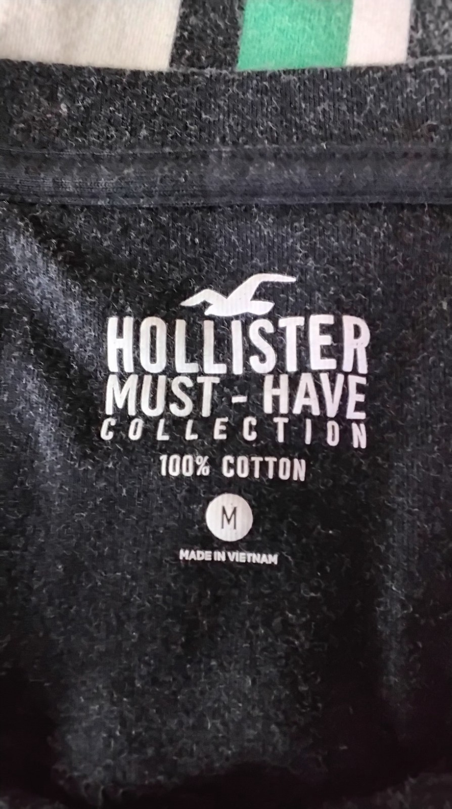 Hollister Must-Have Collection Tshirt Vertical Striped Black Green Mens Medium