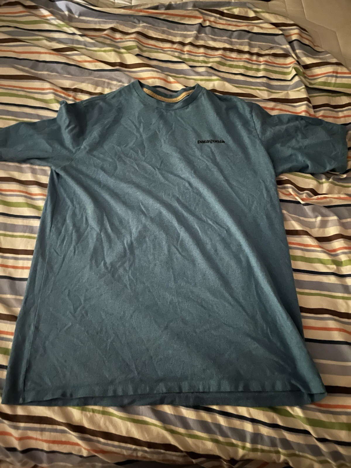 Patagonia Men&rsquo;s M Blue Cotton Crew Neck Short Sleeve Logo Graphic T-Shirt
