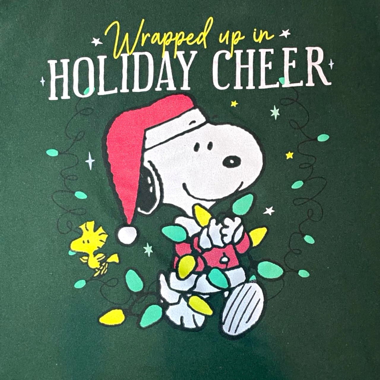 Peanuts Men&rsquo;s Green Snoopy Woodstock Holiday Graphic T-Shirt Crew Neck XL