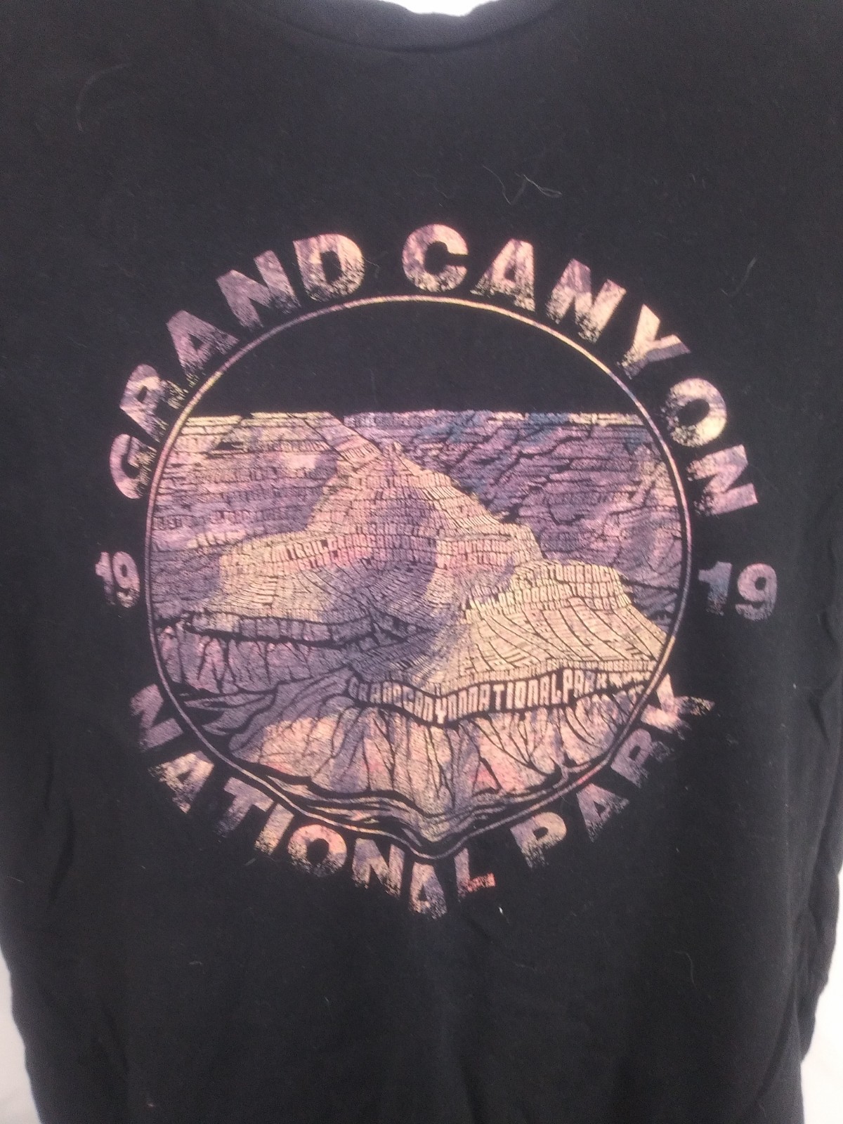 Grand Canyon T-Shirt Men&rsquo;s M Wild Tribute Black Graphics Casual Travel