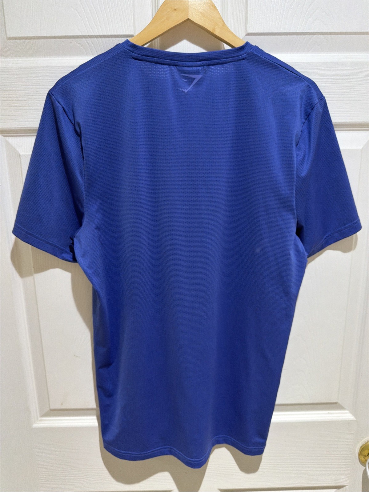 Gymshark Men’s Athletic T-Shirts Lot of 2 Size XL Blue Green Workout Gym