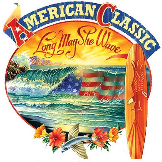 American Classic T Shirt You Choose Style, Size, Color 10504