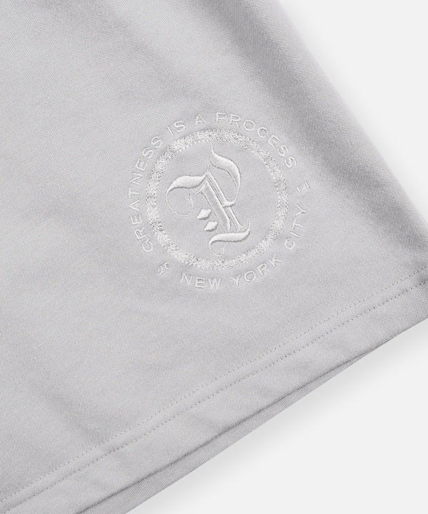 PAPER PLANES ✈️ WASHED GREY PLANES WASHED TERRY SHORTS SIZE 3XL 🔥