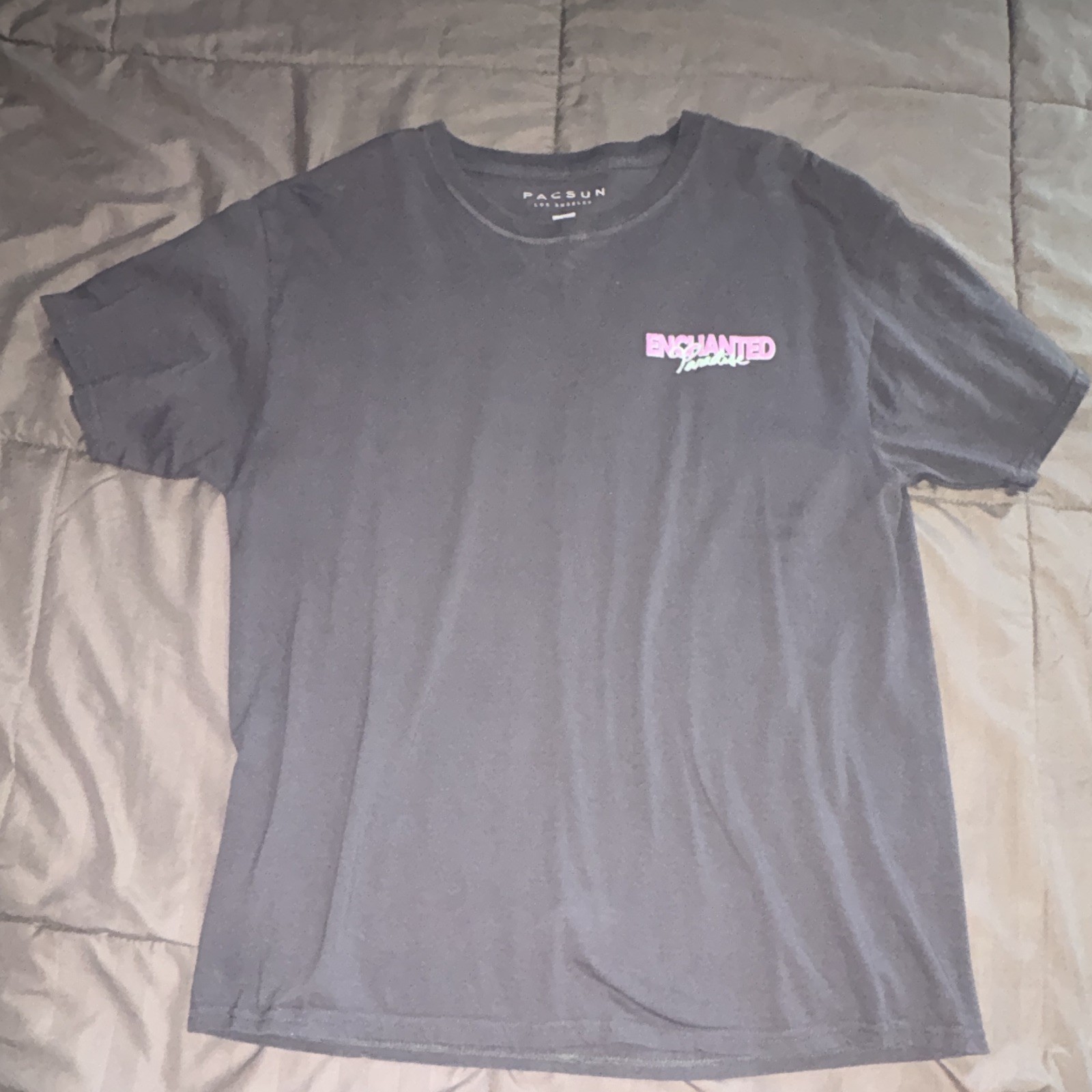 PacSun Men&rsquo;s L Gray Enchanted Paradise Graphic Crew Neck Cotton Jersey Tee