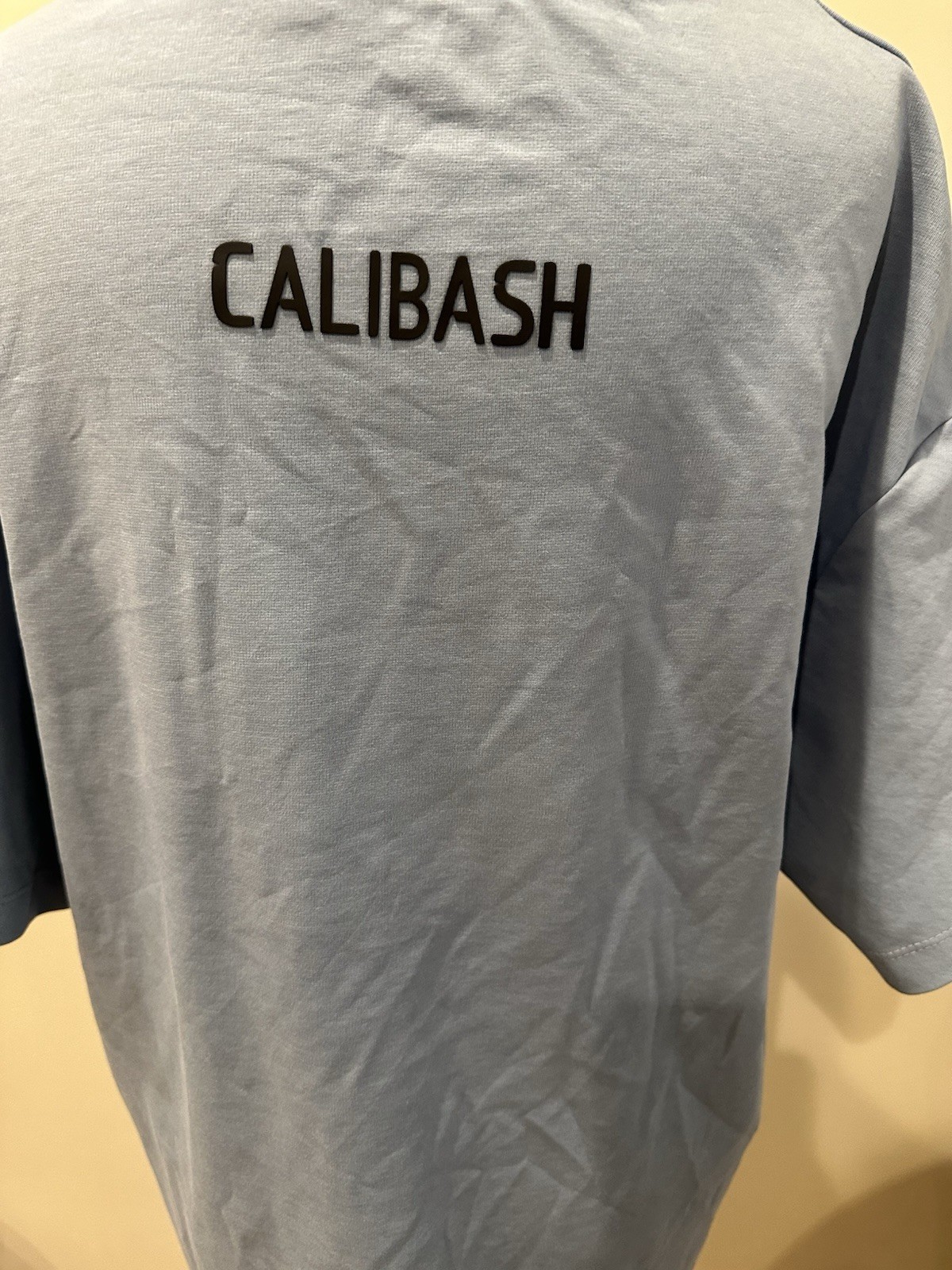 HULE Brand Calibash Duck Graphic Tee Men&rsquo;s M Blue Crew Neck Short Sleeve
