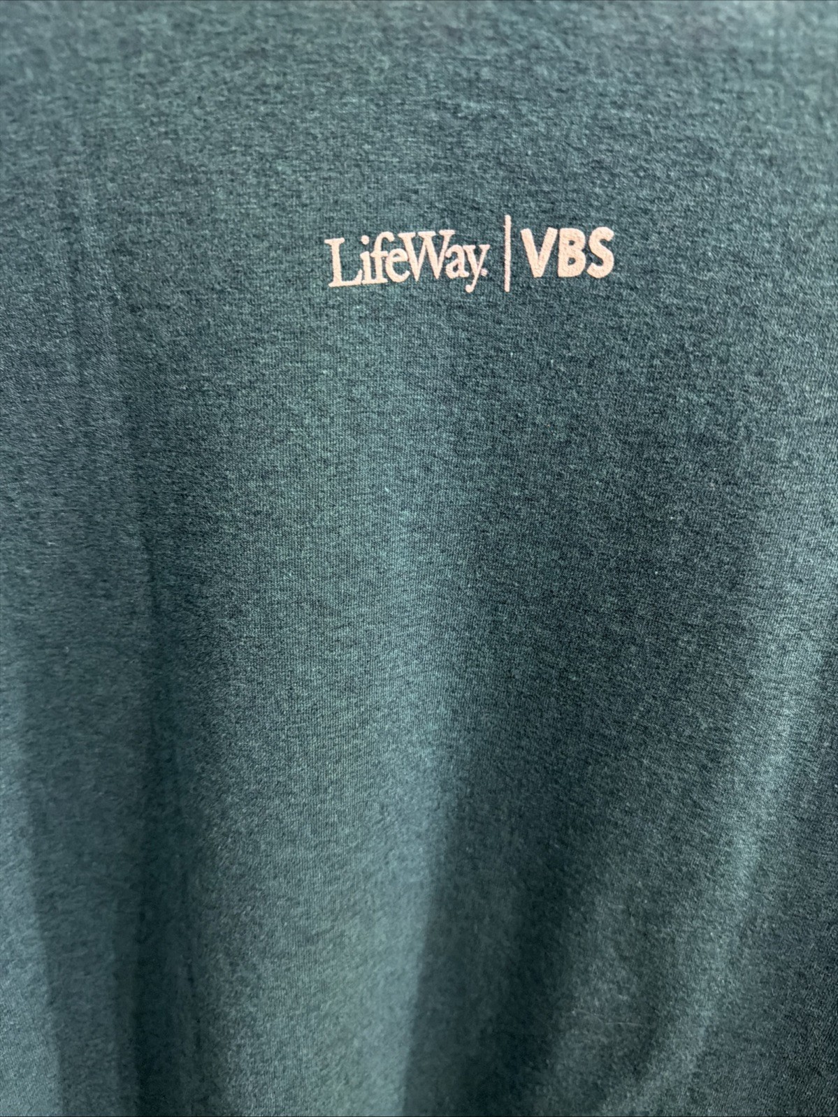 In The Wild John 20:31 Amazing Encounters W/JESUS T-Shirt Adult lifeway VBS LG