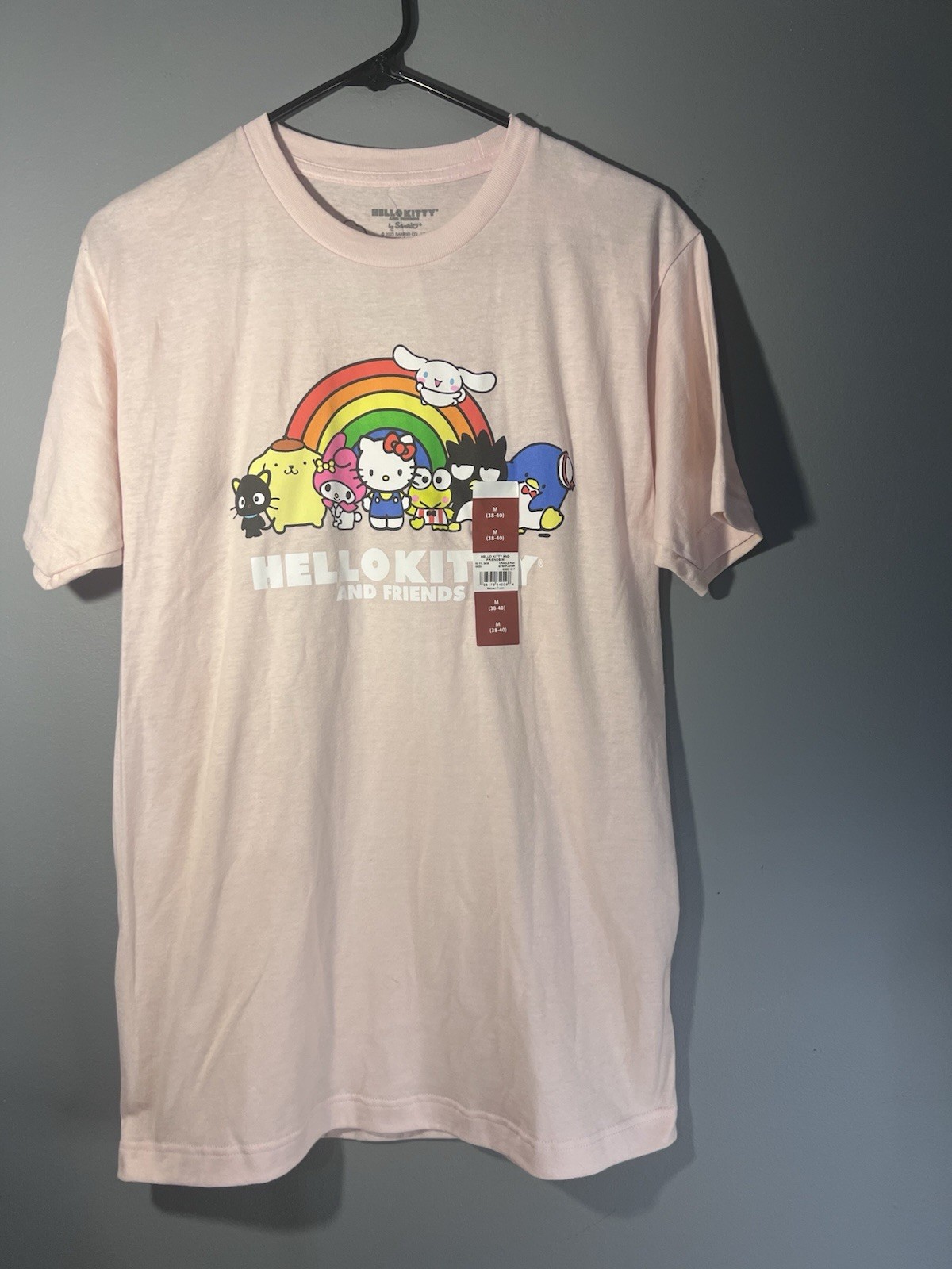 Sanrio Hello Kitty and Friends t-shirt Pink Size Medium Men’s