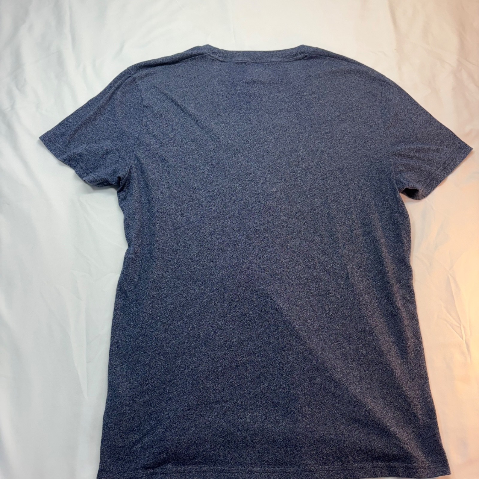 Hollister Must Have Collection Men’s Blue T-shirt Size Med Short Sleeve Logo