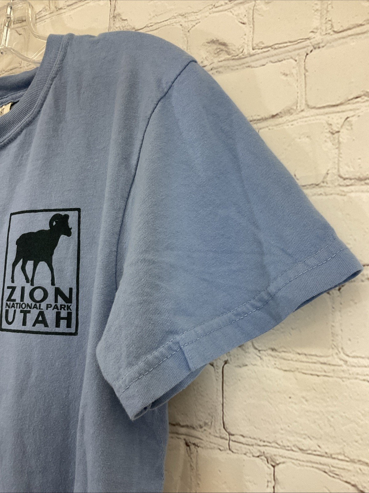 Image One C1717 Men&rsquo;s ZION NATIONAL PARK UTAH Cotton T-Shirt Blue S Small