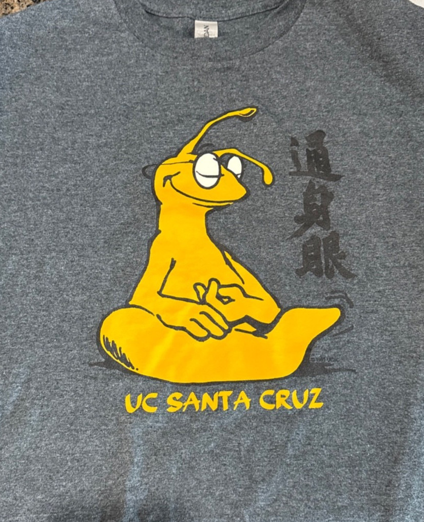 University of Santa Cruz ZEN Banana Slug Gildan T-Shirt Size Small EUC UCSC VHTF