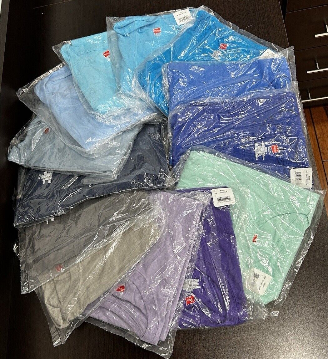 Hanes Tagless 100% Preshrunk Cotton Men&rsquo;s Size Large Tee Shirts Many Colors